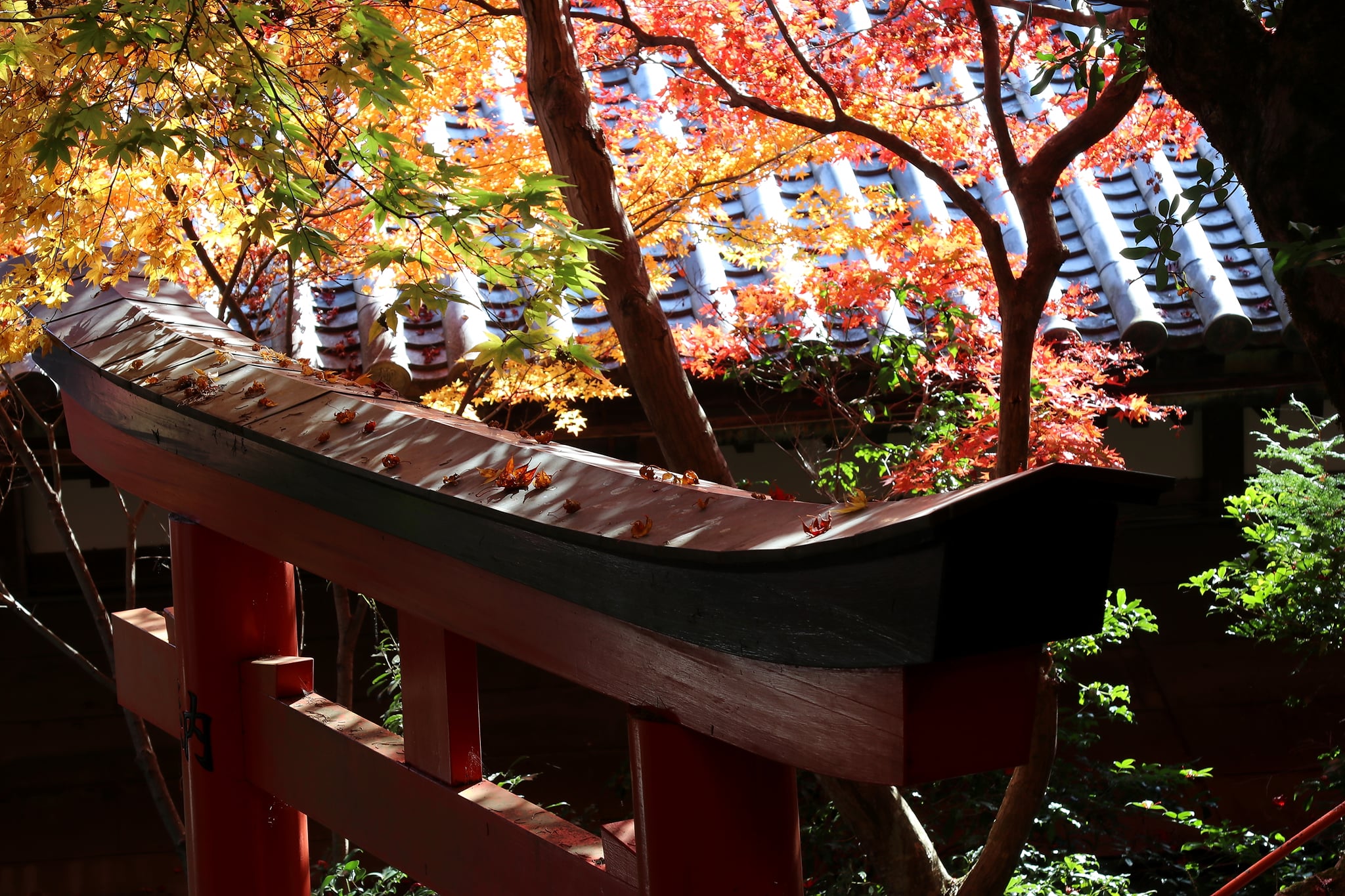 Autumn colours at Yōkoku-ji Temple